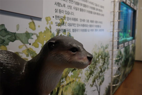 Geopark Room